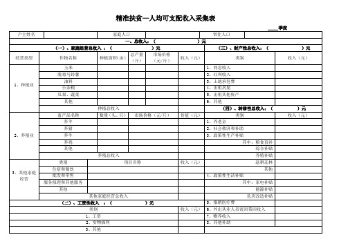 精准扶贫—人均可支配收入采集表