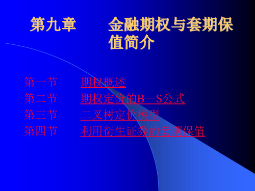 金融期权与套期保值简介(ppt 32页)