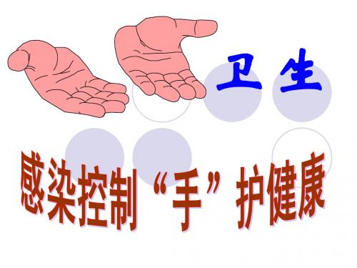 手卫生规范培训