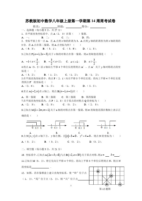 苏教版初中数学八年级上册第一学期第14周周考试卷