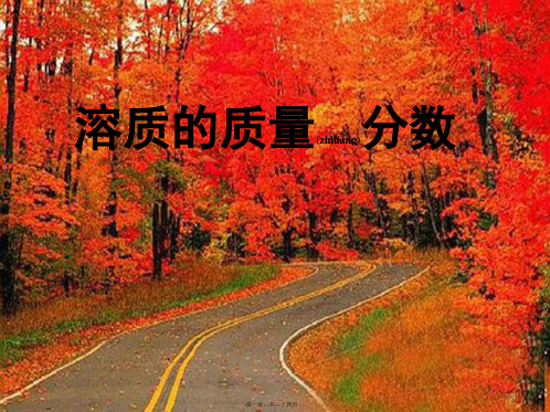 九年级化学《溶质的质量分数》课件2