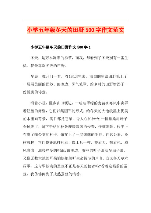 小学五年级冬天的田野500字作文范文