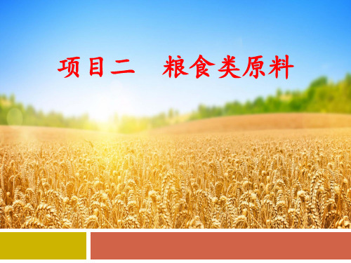 项目二 粮食类原料