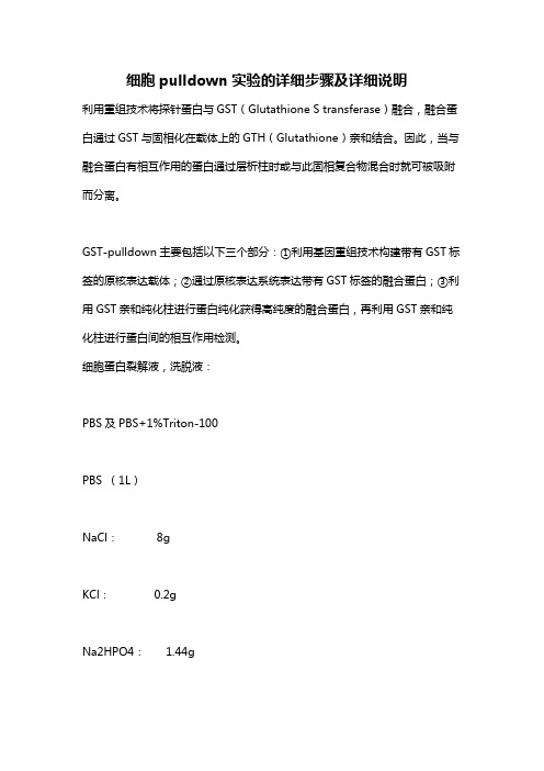 细胞pulldown实验的详细步骤及详细说明