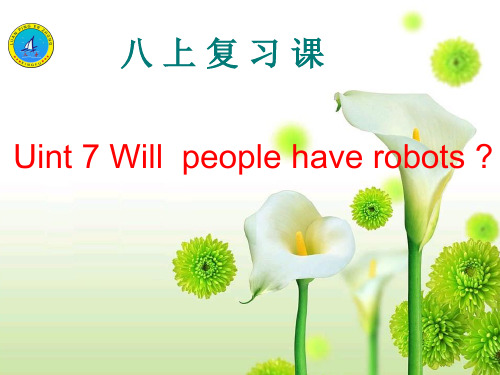 人教版八年级英语上册第七单元复习课件(一般将来时))