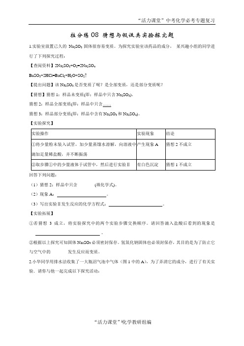 拉分练08 猜想与假设类实验探究题(学生版)-2021年中考化学拉分题专练—实验探究题