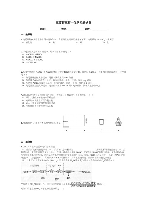 江苏初三初中化学专题试卷带答案解析
