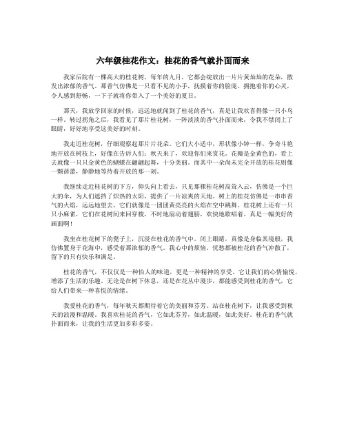六年级桂花作文：桂花的香气就扑面而来