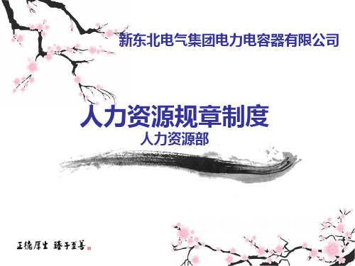 人力资源制度new1.pptx