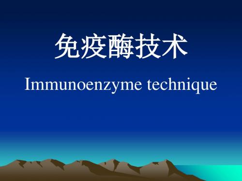 免疫酶技术 ppt课件