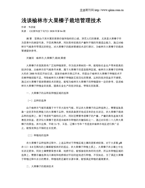 浅谈榆林市大果榛子栽培管理技术