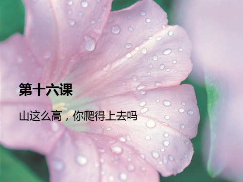 汉语教程第二册下 十六课 山这么高你怕的上去吗