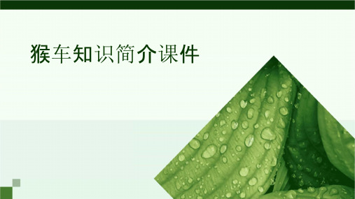 猴车知识简介课件