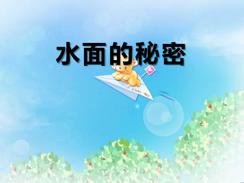 《水面的秘密》PPT  图文