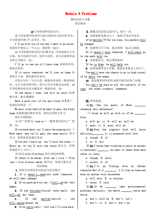 九年级英语上册Module6Problems模块语法小专题习题(新版)外研版