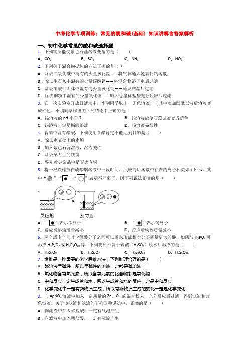 中考化学专项训练：常见的酸和碱(基础) 知识讲解含答案解析