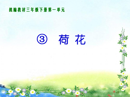 三级下册语文课件荷花 人教部编版