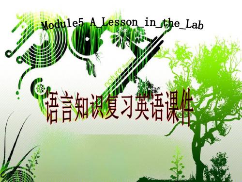 Module5复习课件(外研版必修1) (1)