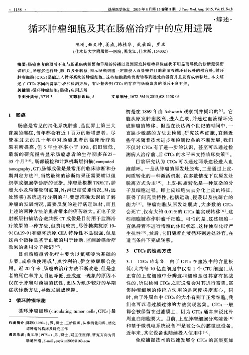 循环肿瘤细胞及其在肠癌治疗中的应用进展