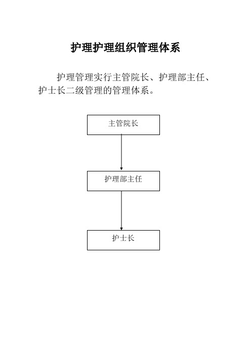 护理组织管理体系