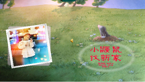 幼儿园课件宽屏小鼹鼠找新家