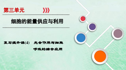 2020届高中生物一轮复习人教版复习提升课光合作用与细胞呼吸作用综合应用PPT课件(41张)