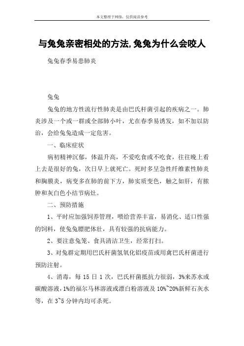 与兔兔亲密相处的方法,兔兔为什么会咬人