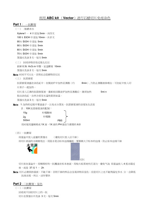 石蜡切片ABC法免疫染色