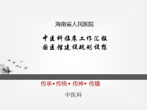 国医馆建设规划 