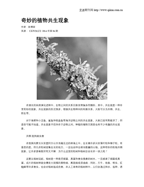 奇妙的植物共生现象