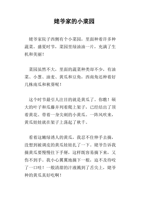 姥爷家的小菜园