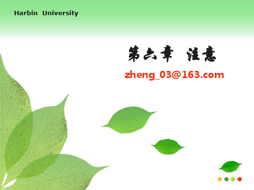 第六章 注意2011
