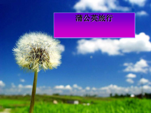 幼儿园中班语言《蒲公英旅行记》PPT课件(上课用)