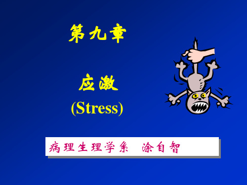 应激