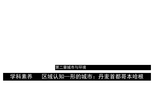 (浙江专用)学年高中地理第二章城市与环境学科素养课件湘教版必修2
