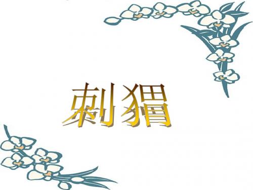 刺猬_01