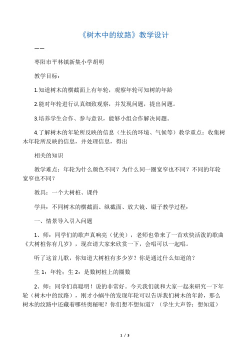 树木的纹路
