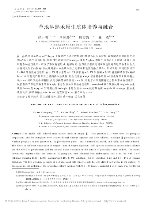 草地早熟禾原生质体培养与融合_赵小强
