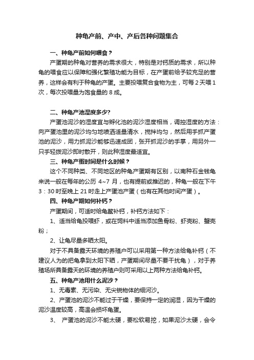 种龟产前、产中、产后各种问题集合