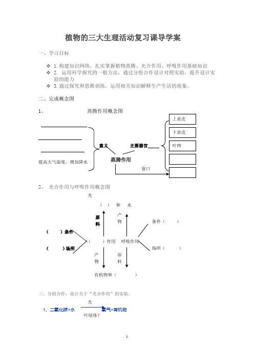 植物3大生理作用总复习