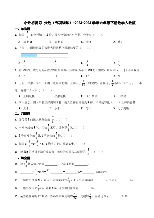 2023-2024学年人教版小学数学六年级下册小升初复习《分数》专项训练(含答案)