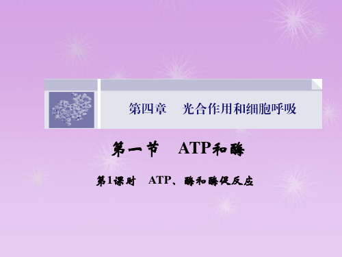 高一生物(苏教版必修1)课件4.1.1《ATP、酶和酶促反应》