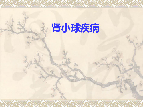 内科学★肾小球疾病
