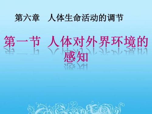 人教版七年级生物4.6.1 人体对外界环境的感知(共28张PPT)