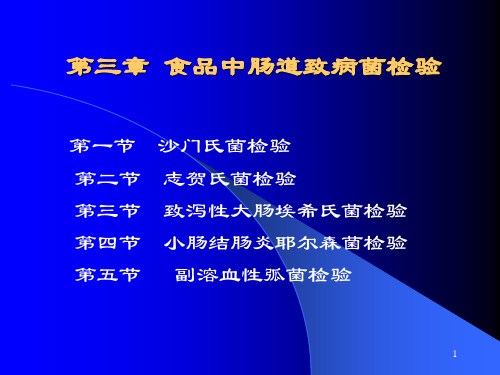 沙门氏菌检验