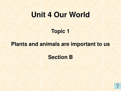 Unit 4 Our World