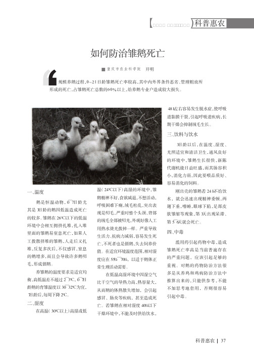 如何防治雏鹅死亡