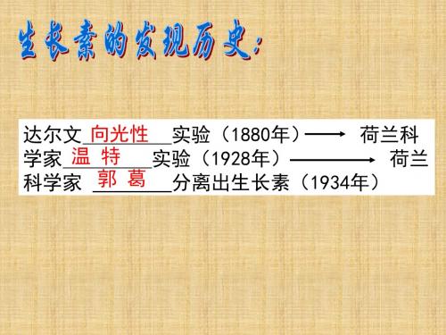华师大版科学八下《人体生命活动的激素调节》ppt课件