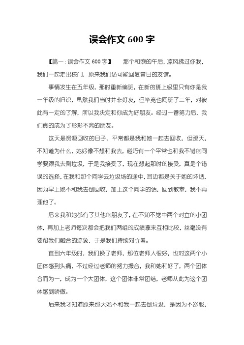 误会作文600字