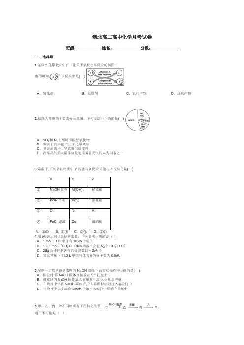 湖北高二高中化学月考试卷带答案解析

